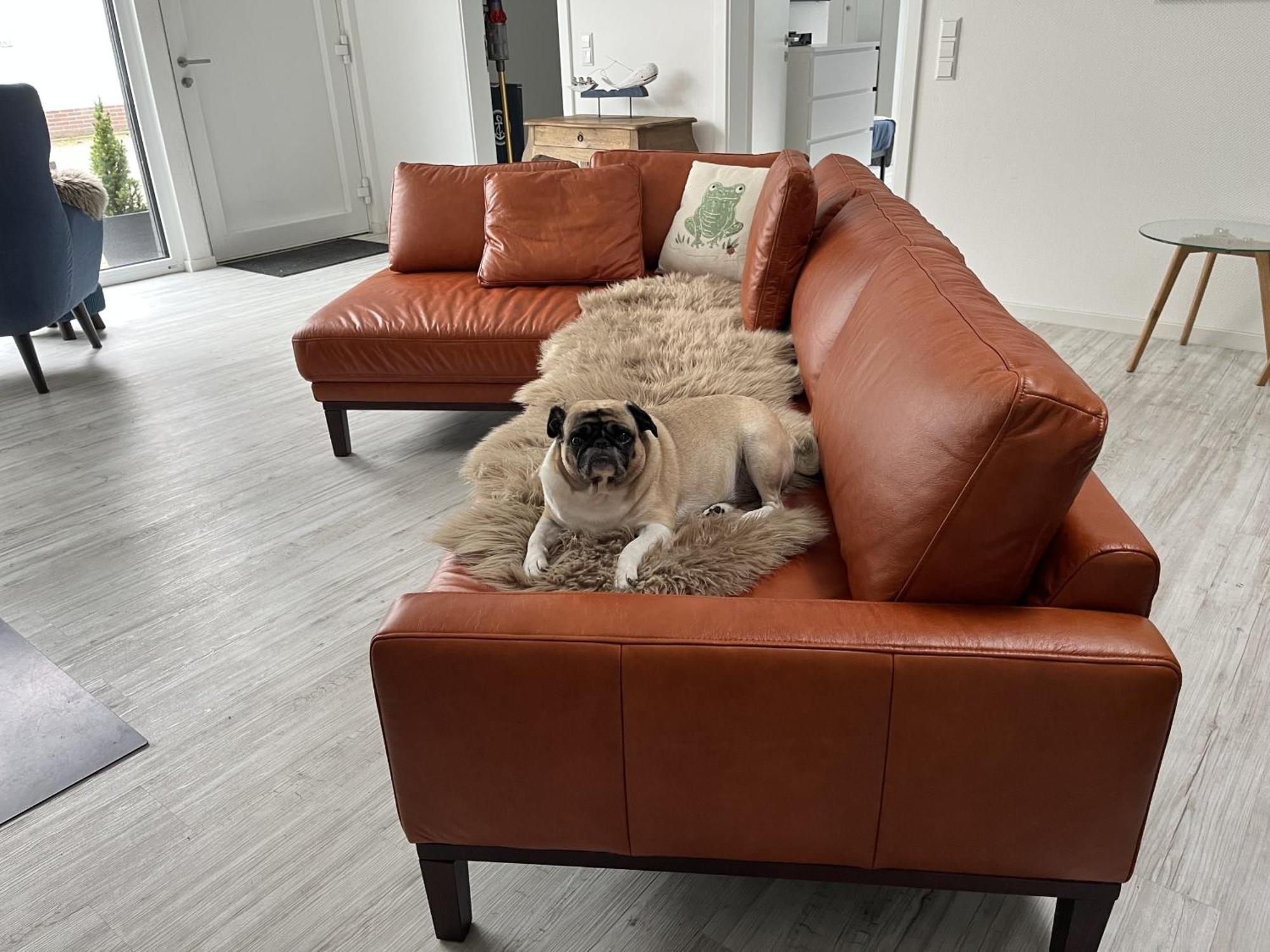 Ferienwohnung Nr 5 Wunstorf Dış mekan fotoğraf